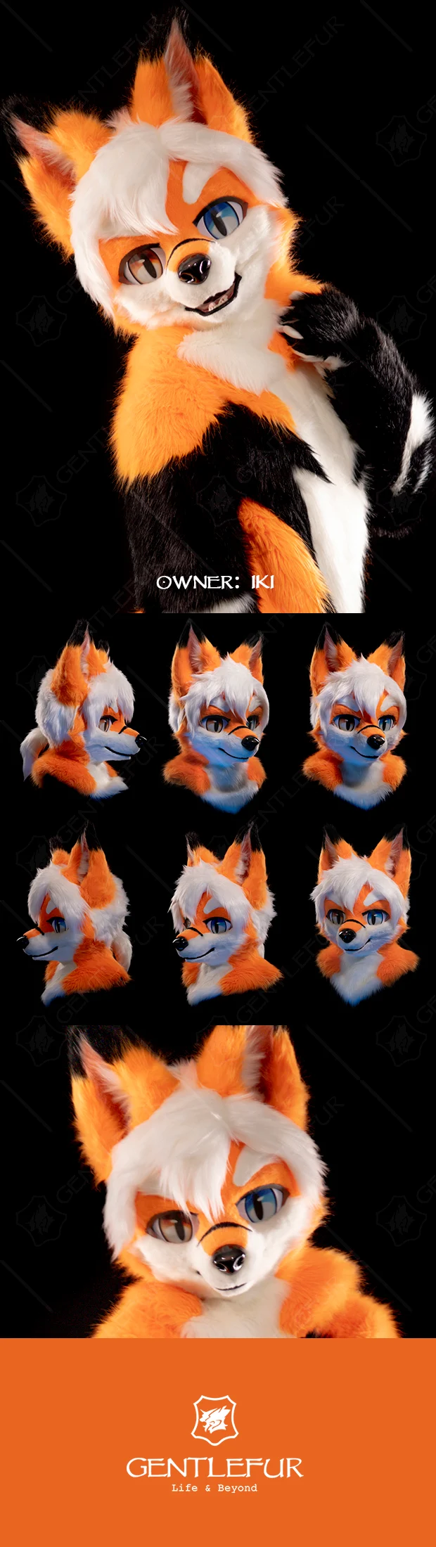 @Gentlefur文禽武兽 拍摄的返图